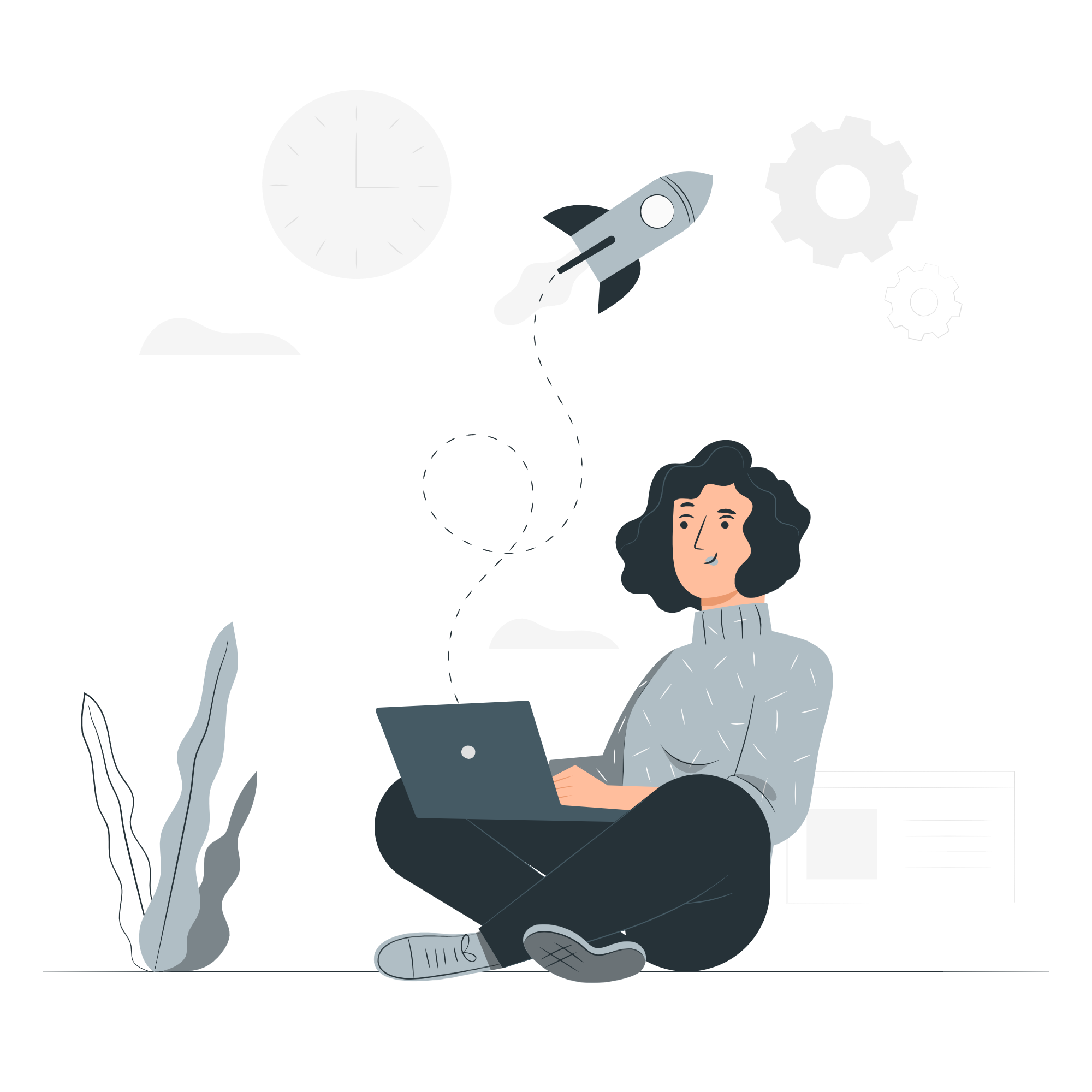 developer image